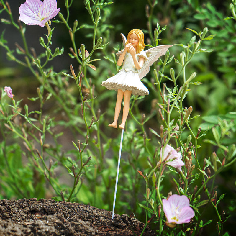 Hada Flower Carnation