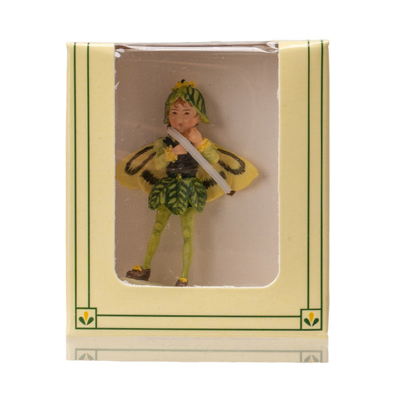 Hada Flower Mini Boxwood