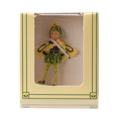 Hada Flower Mini Boxwood