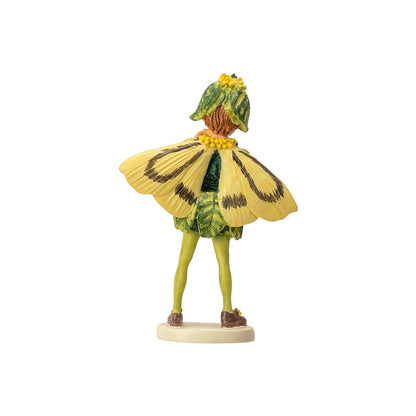 Hada Flower Mini Boxwood