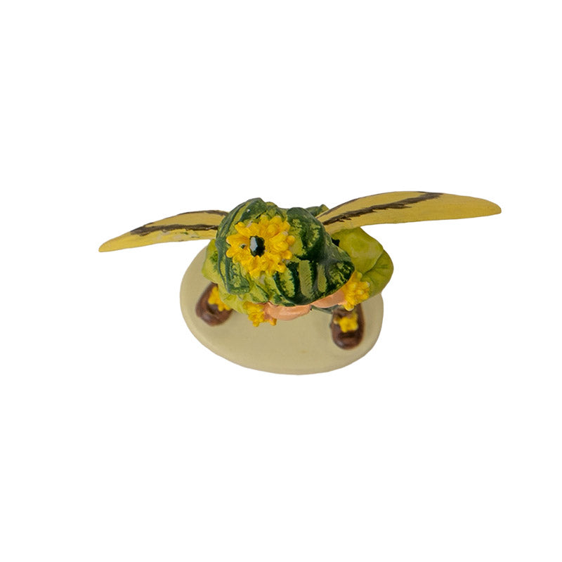 Hada Flower Mini Boxwood