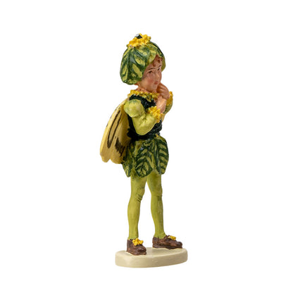 Hada Flower Mini Boxwood