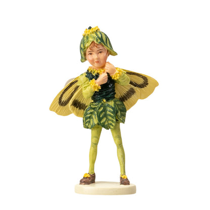 Hada Flower Mini Boxwood