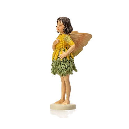 Hada Flower Mini Ragwort