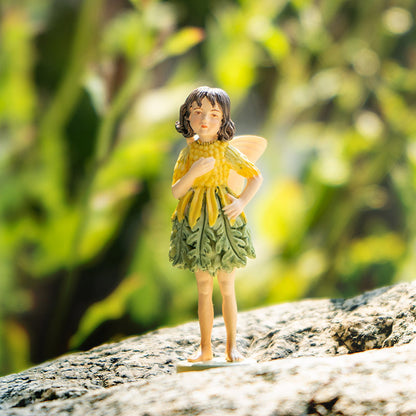 Hada Flower Mini Ragwort