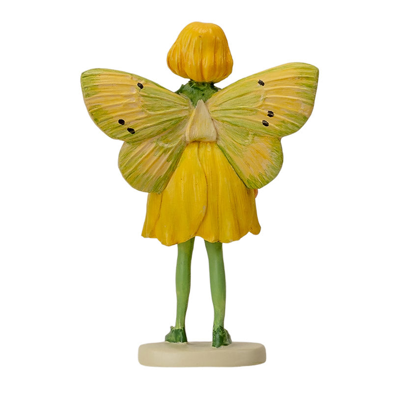 Hada Flowers Mini Buttercup