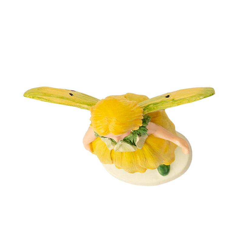 Hada Flowers Mini Buttercup