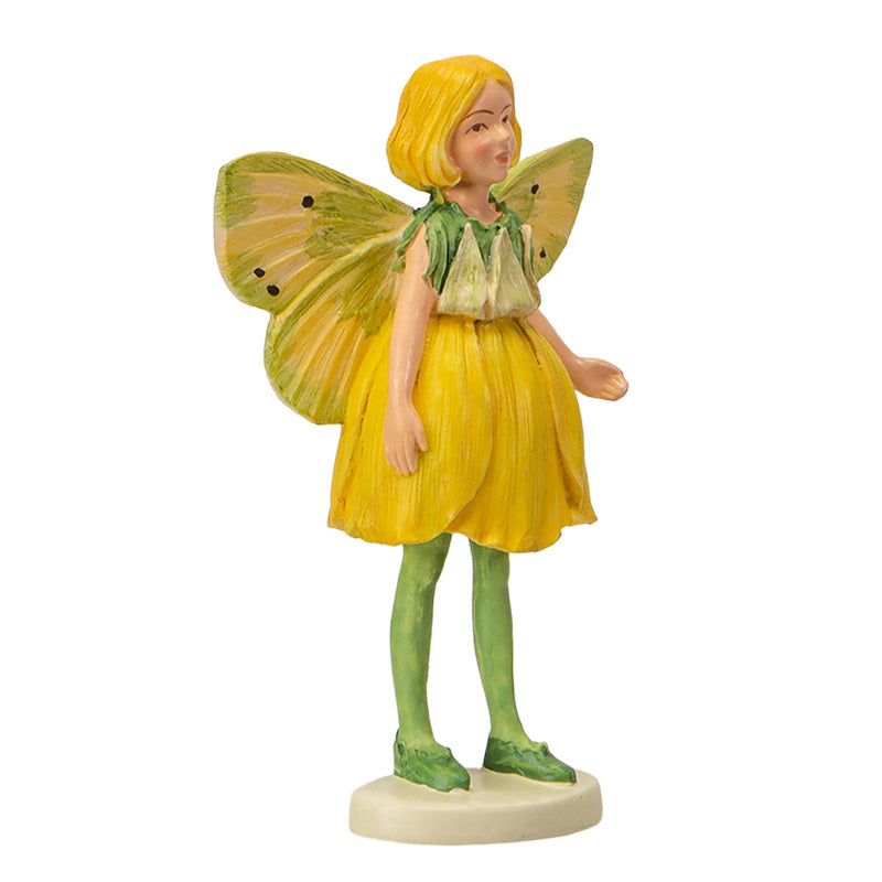 Hada Flowers Mini Buttercup
