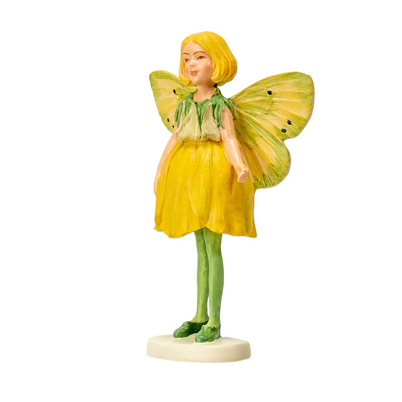 Hada Flowers Mini Buttercup