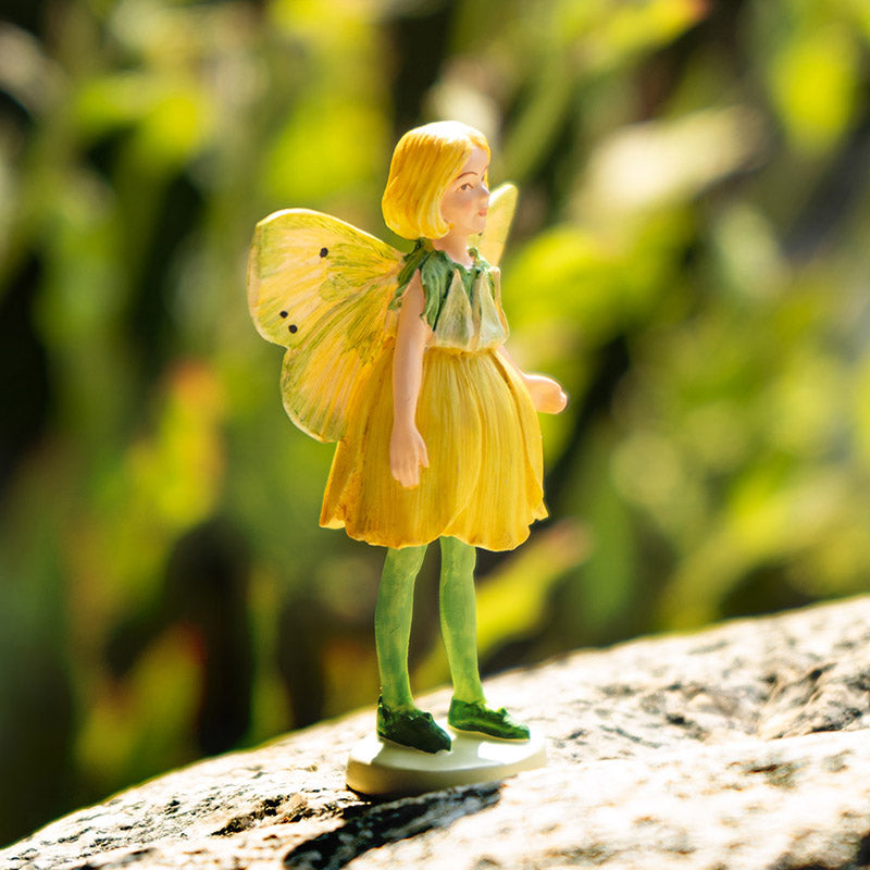 Hada Flowers Mini Buttercup