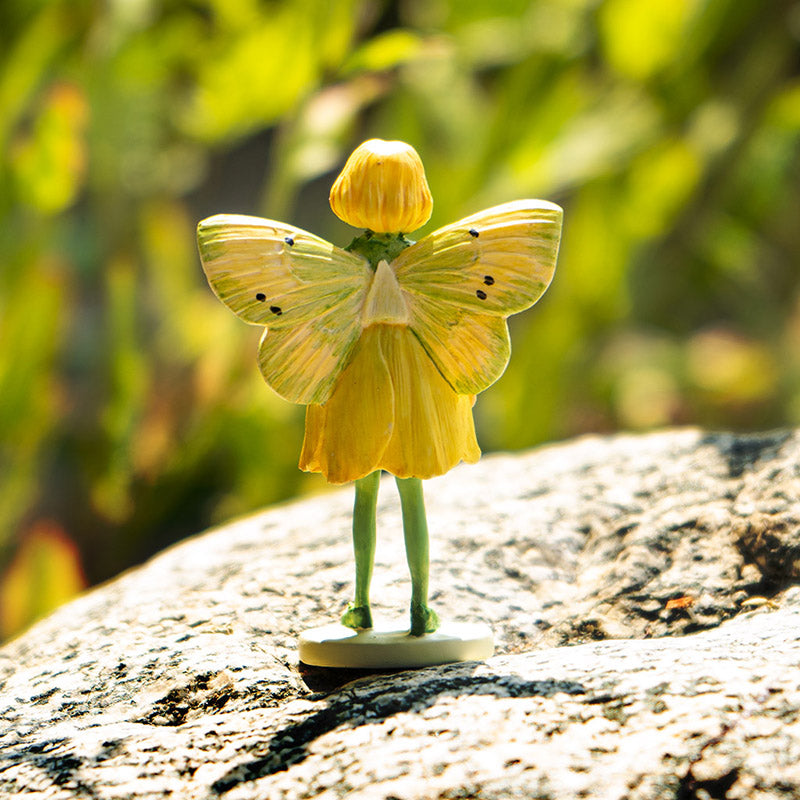 Hada Flowers Mini Buttercup