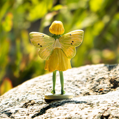 Hada Flowers Mini Buttercup