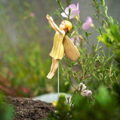 Hada Flower Hazelnut