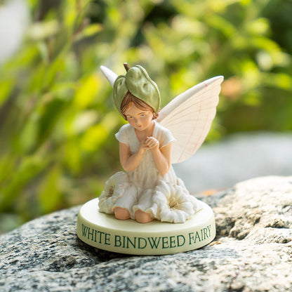 Hada Flower White Bindweed