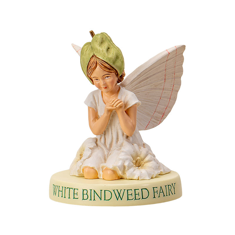 Hada Flower White Bindweed